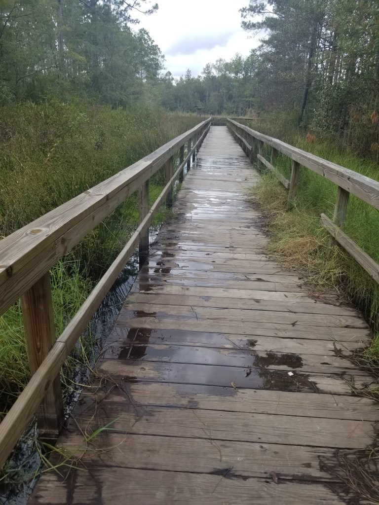 Transformation: Your path.